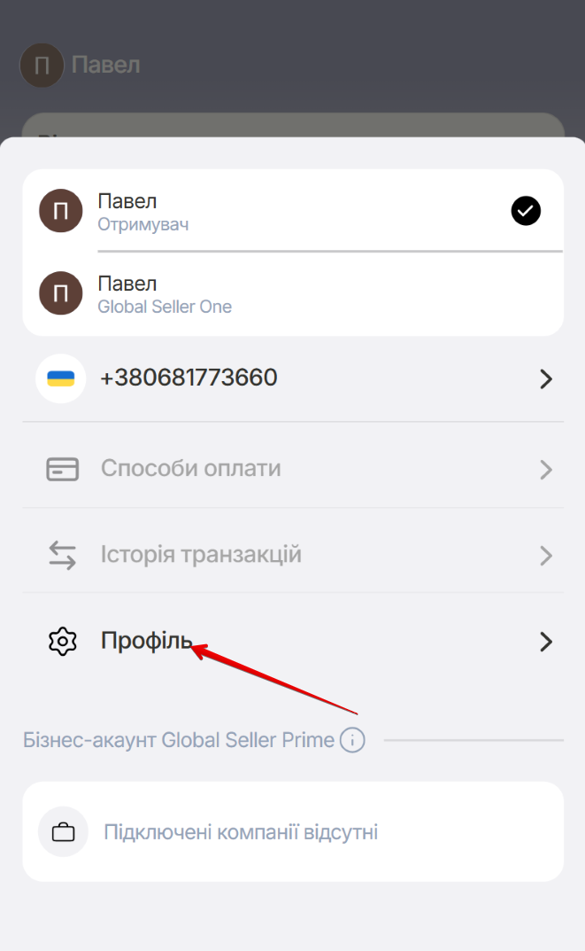 Екран вікна вибору акаунта. Поле вибору акаунта, кнопка Профиль